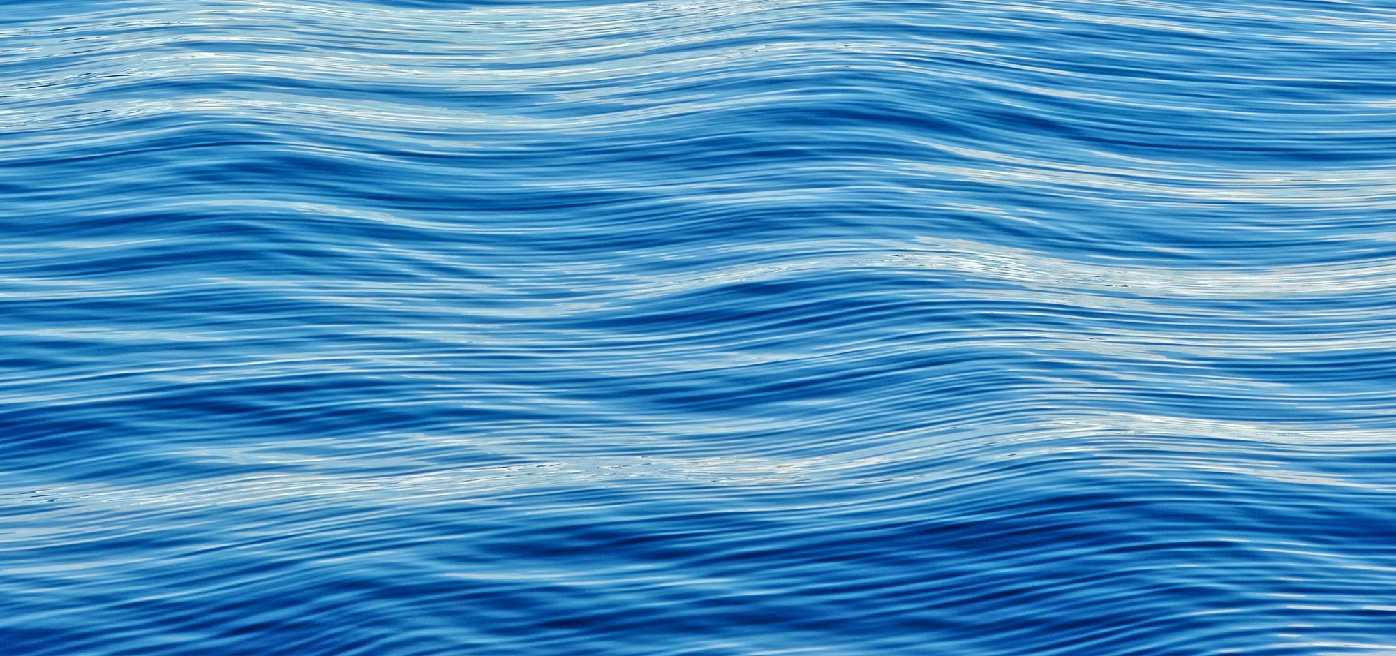 استراتژی اقیانوس آبی